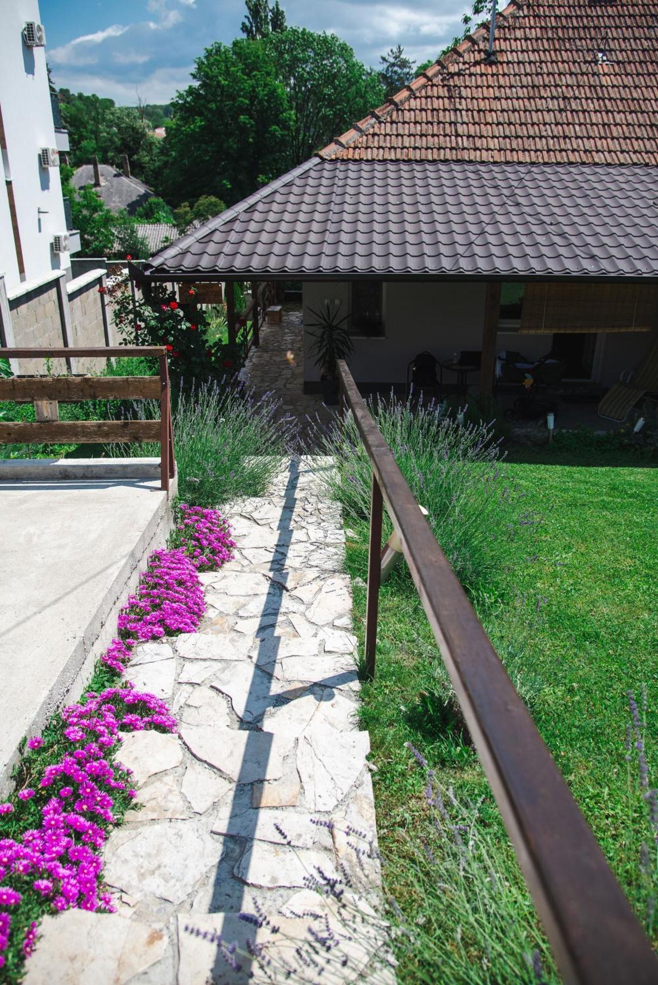 Apartmani Maslacak ヴルドニーク エクステリア 写真